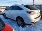 2014 LEXUS RX 350