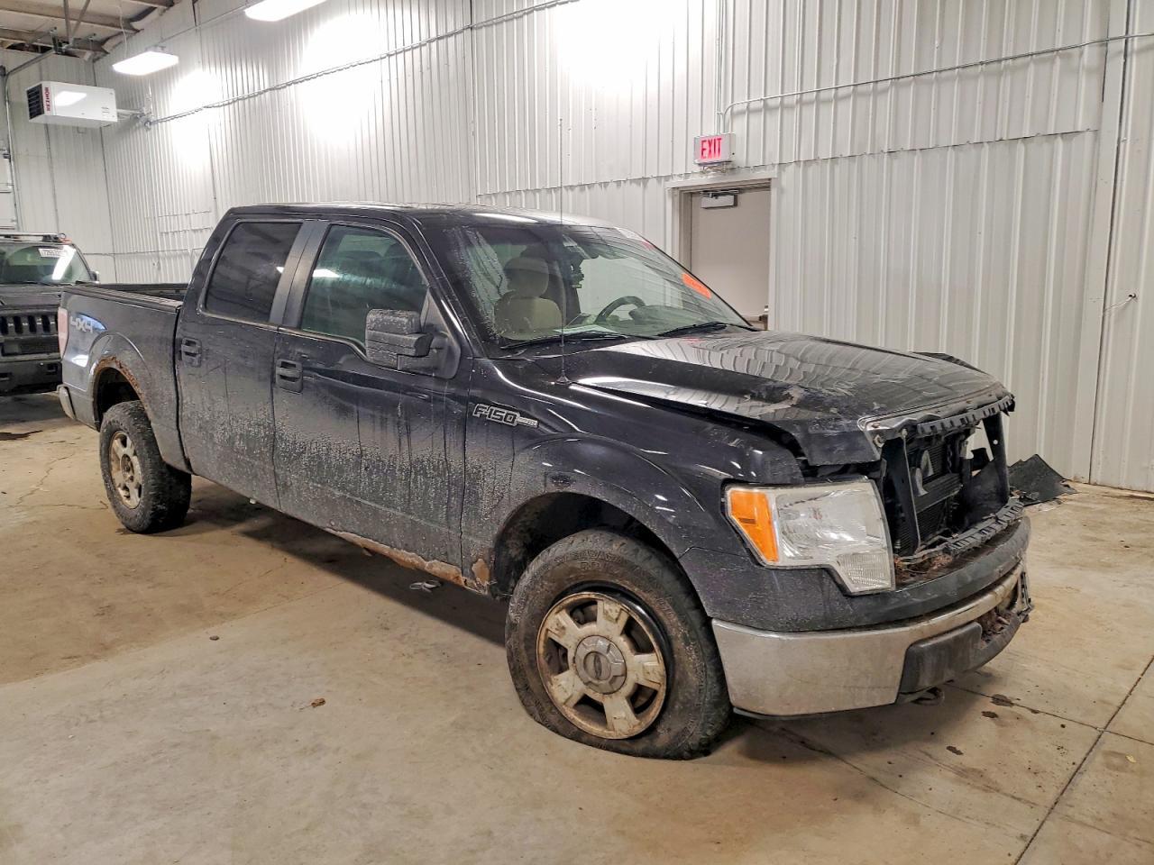 2010 FORD F-150
