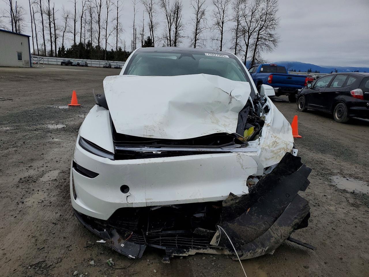 2026 TESLA MODEL Y