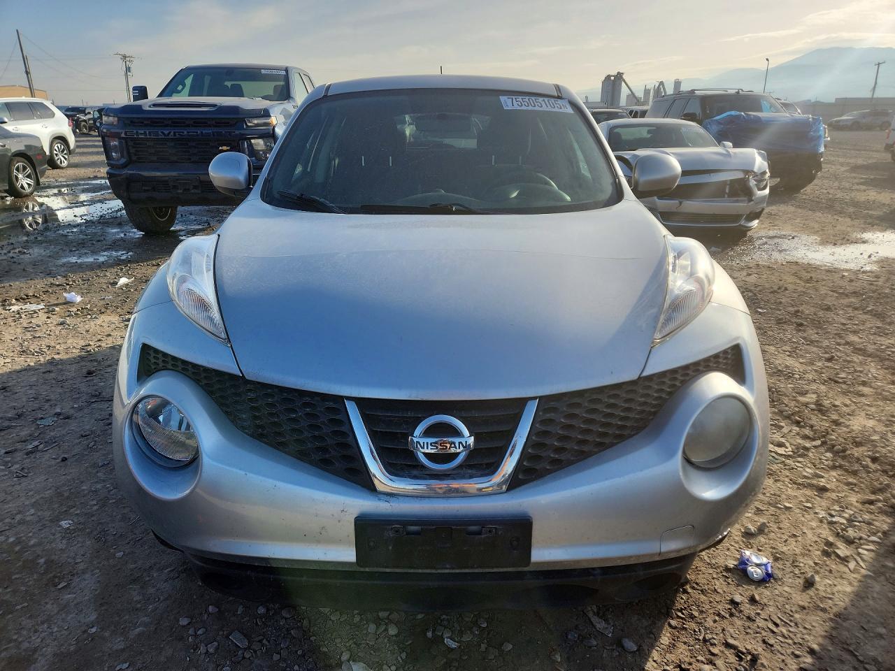 2011 NISSAN Juke