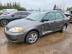 2006 TOYOTA COROLLA