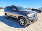 2016 TOYOTA Sequoia