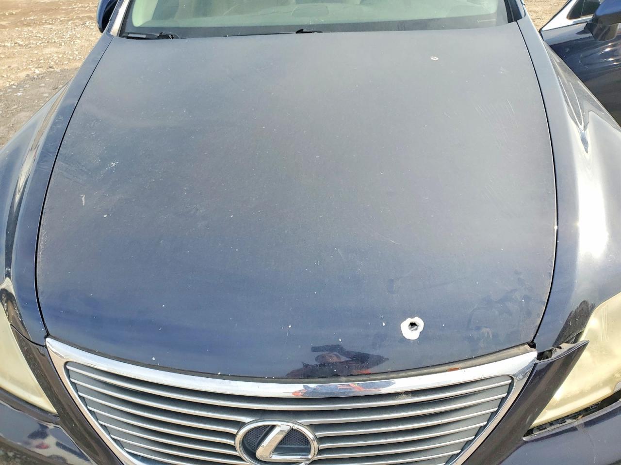 2007 LEXUS LS 460