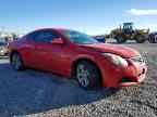 2010 NISSAN ALTIMA
