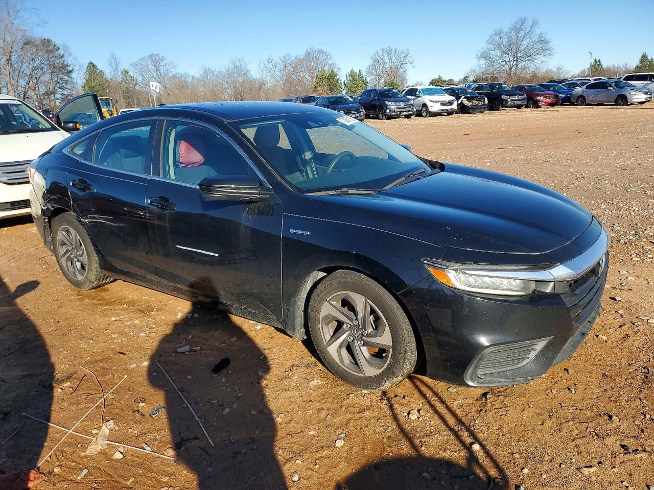 2019 HONDA Insight