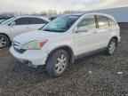 2009 HONDA CR-V