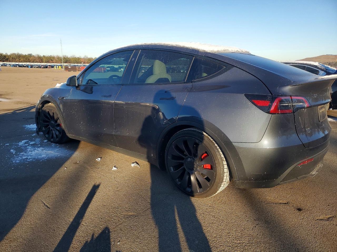 2023 TESLA MODEL Y