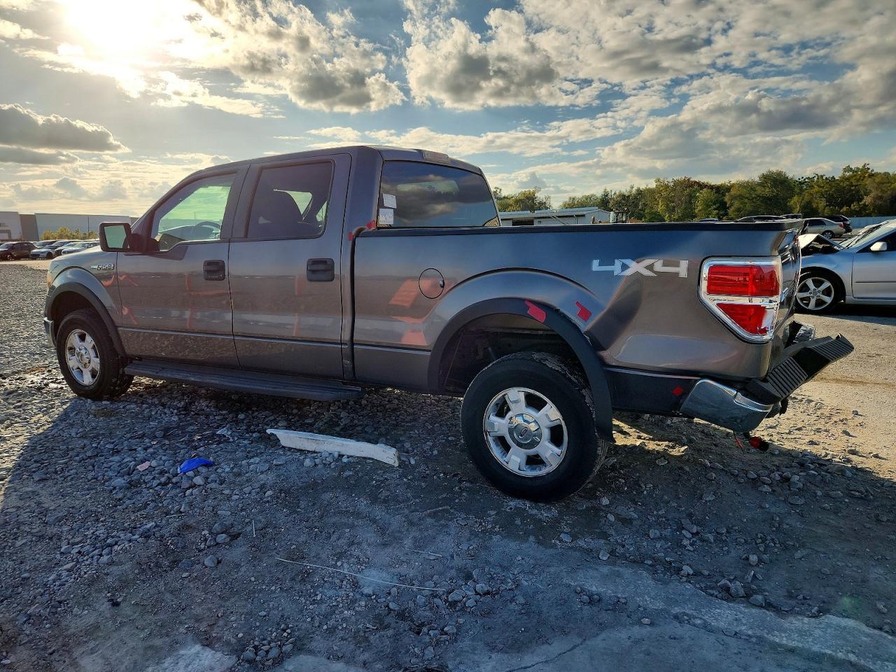 2009 FORD F-150