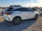 2025 LEXUS RX 350