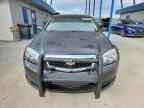 2013 CHEVROLET CAPRICE