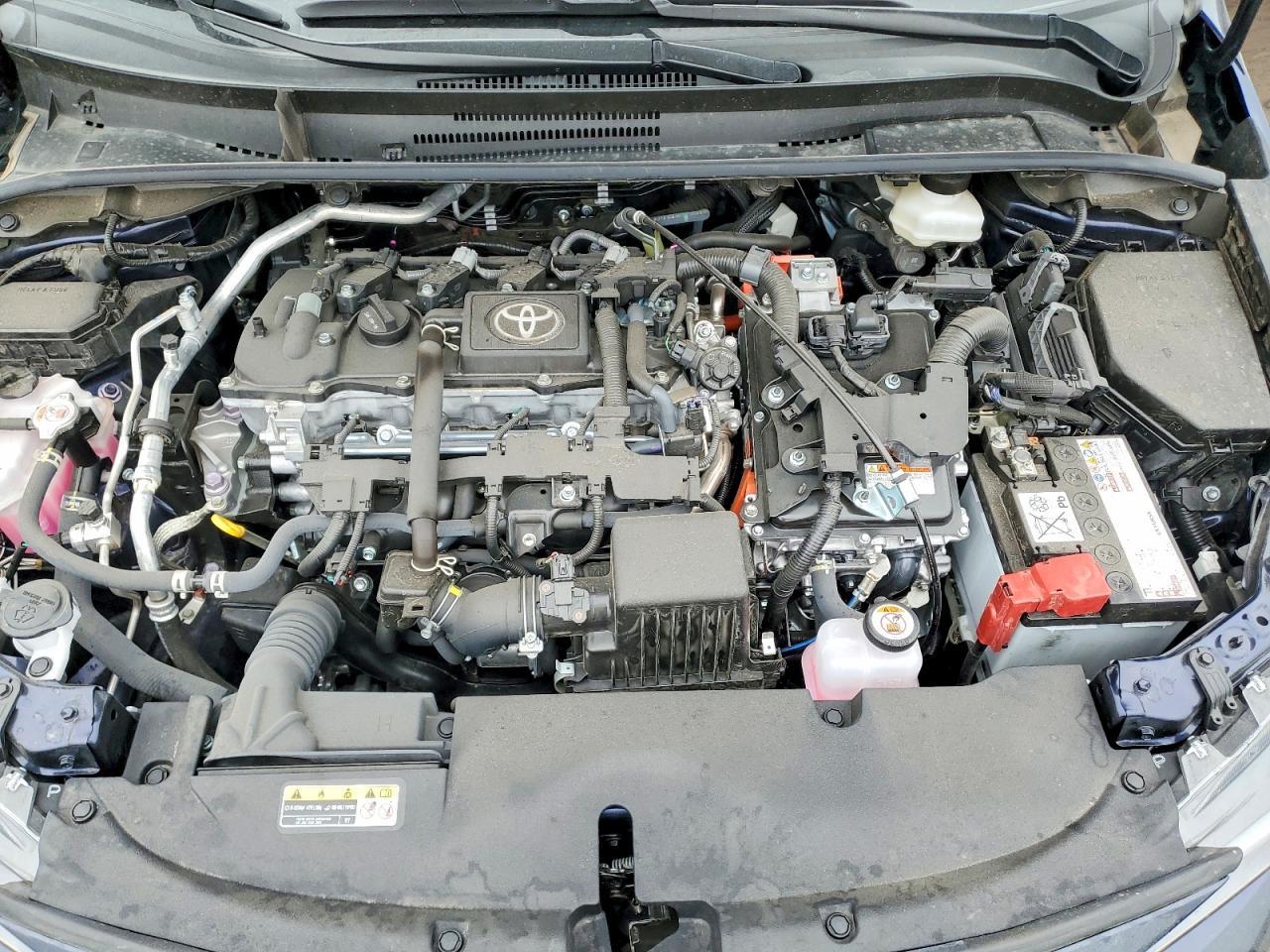 2025 TOYOTA COROLLA