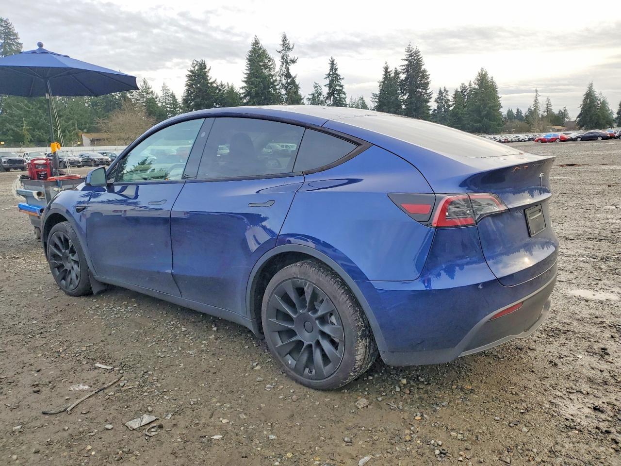2024 TESLA MODEL Y