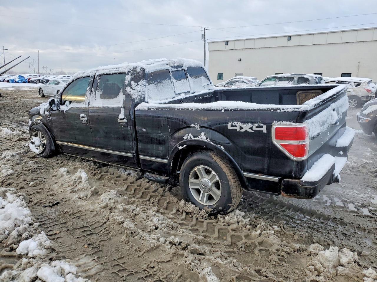 2009 FORD F-150 Lightning
