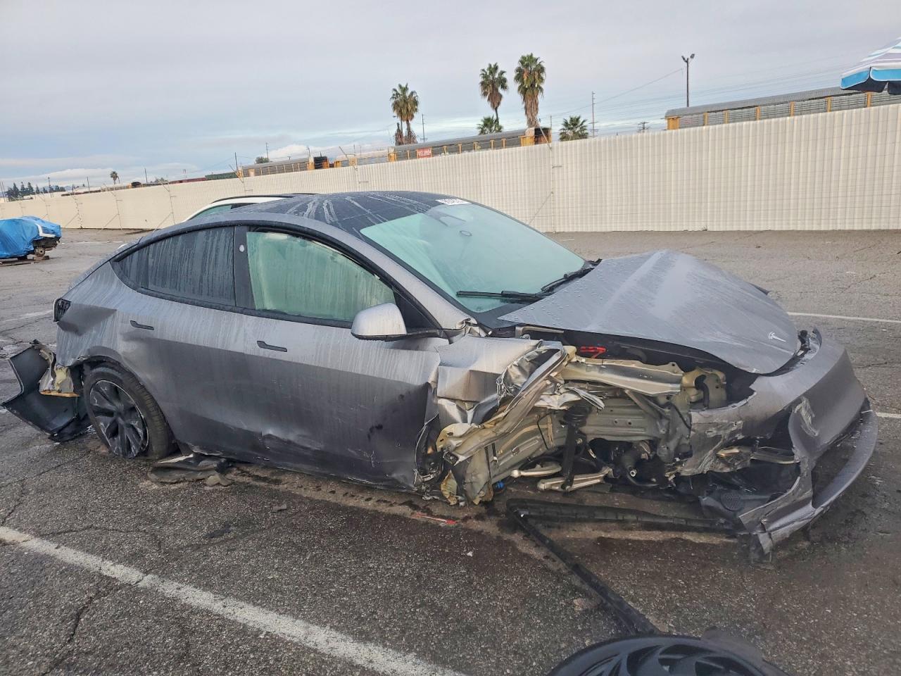 2024 TESLA MODEL Y