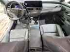 2025 LEXUS ES 350