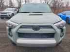 2023 TOYOTA 4Runner