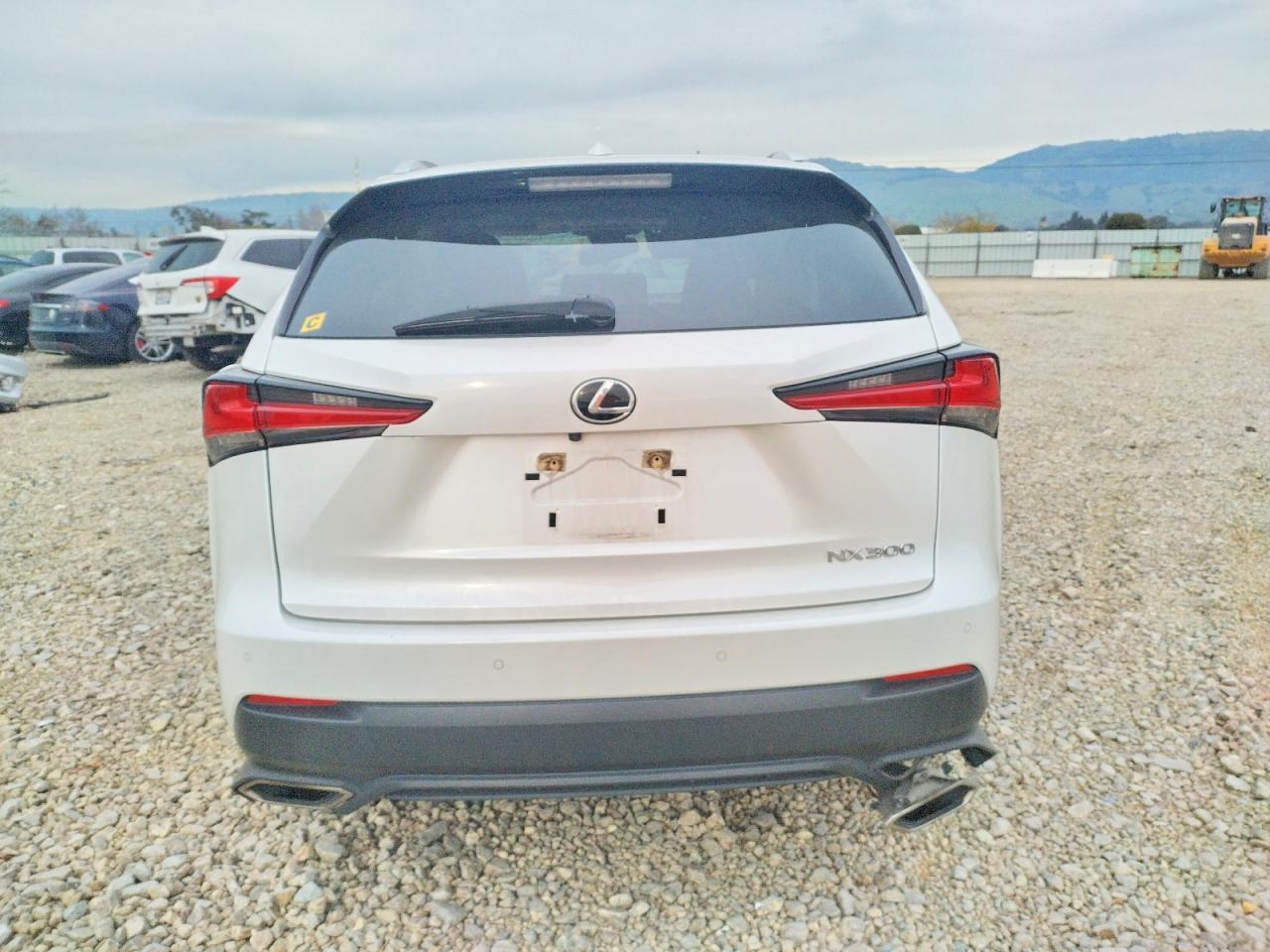 2021 LEXUS NX 300