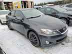 2010 LEXUS IS 250