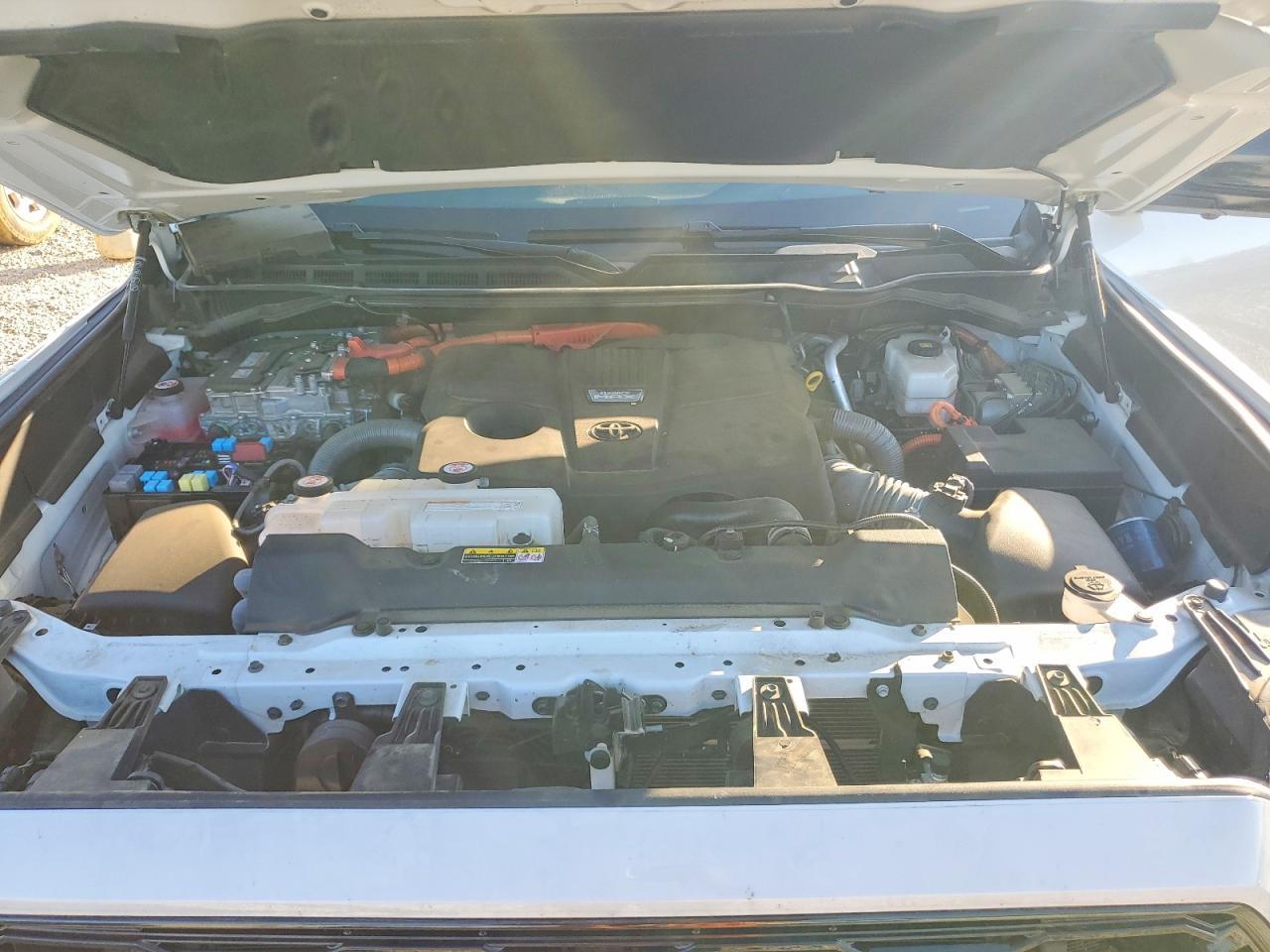 2024 TOYOTA Sequoia
