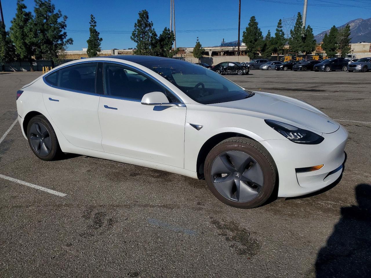 2019 TESLA MODEL 3