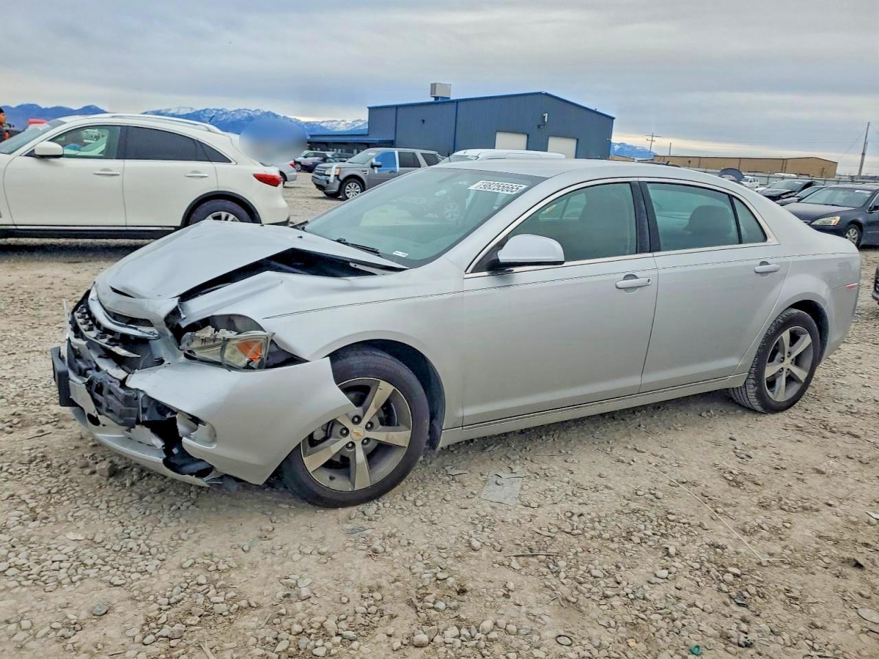 2011 CHEVROLET MALIBU