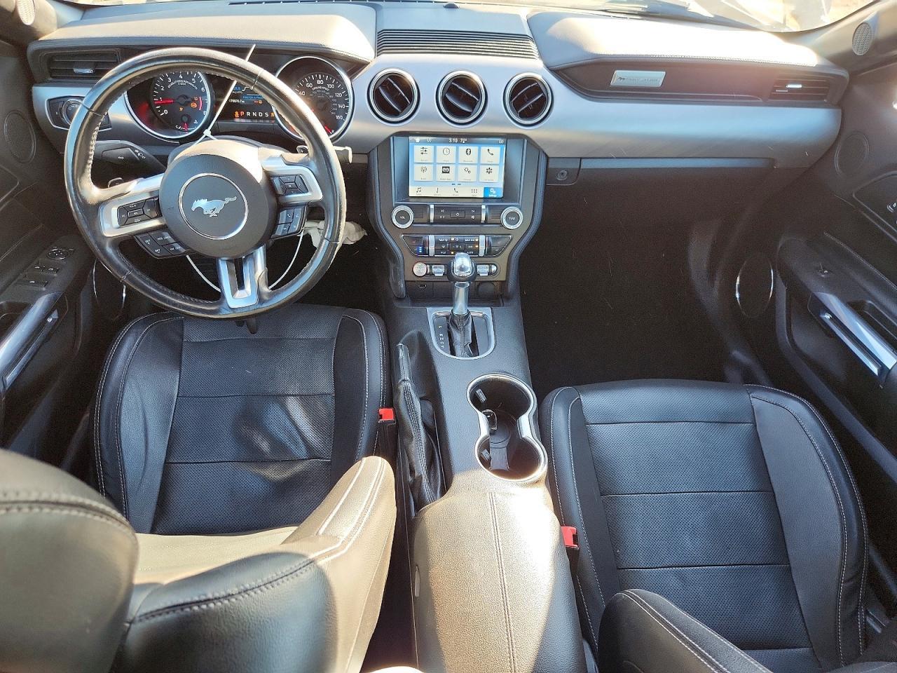 2019 FORD MUSTANG