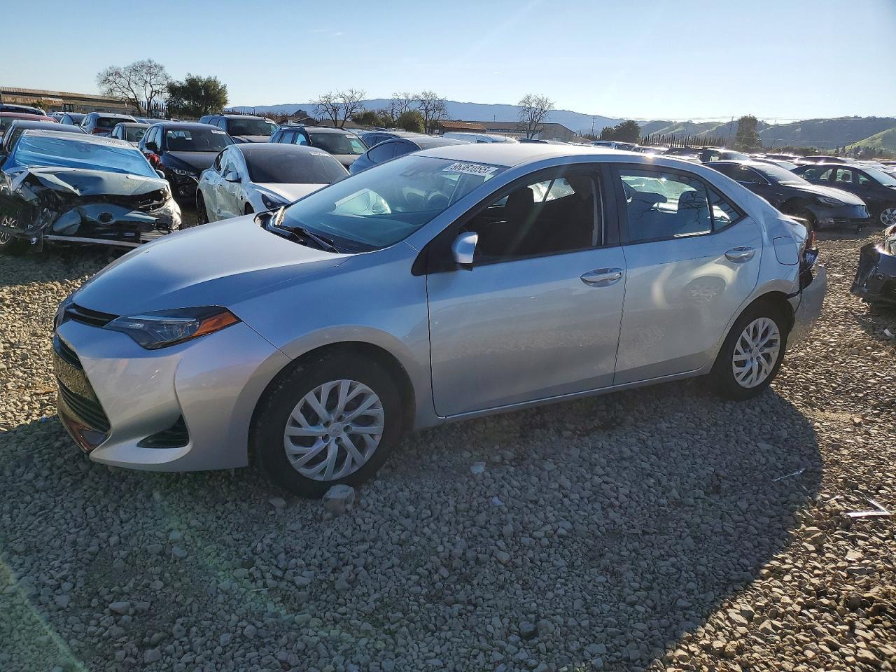 2019 TOYOTA COROLLA