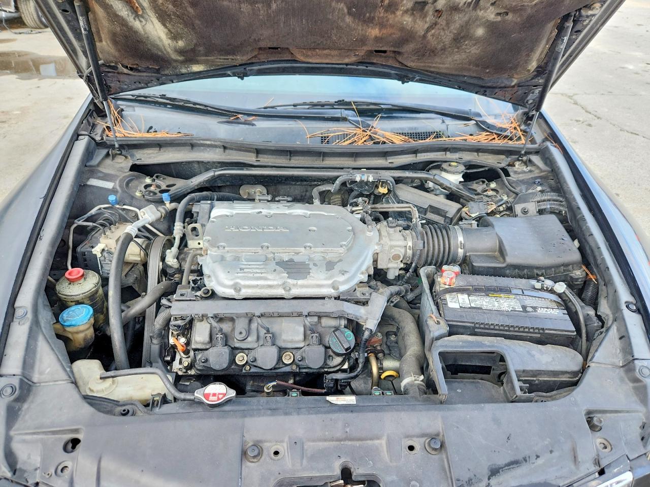 2010 HONDA ACCORD