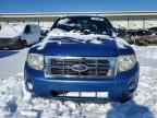 2010 FORD ESCAPE