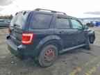 2009 FORD ESCAPE
