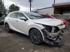 2023 LEXUS RX 350