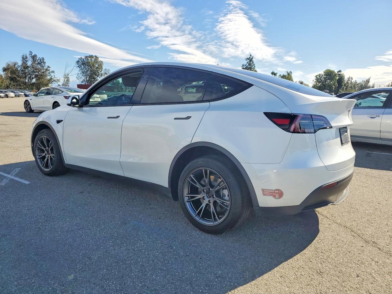 2024 TESLA MODEL Y