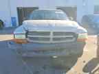 2003 DODGE Dakota