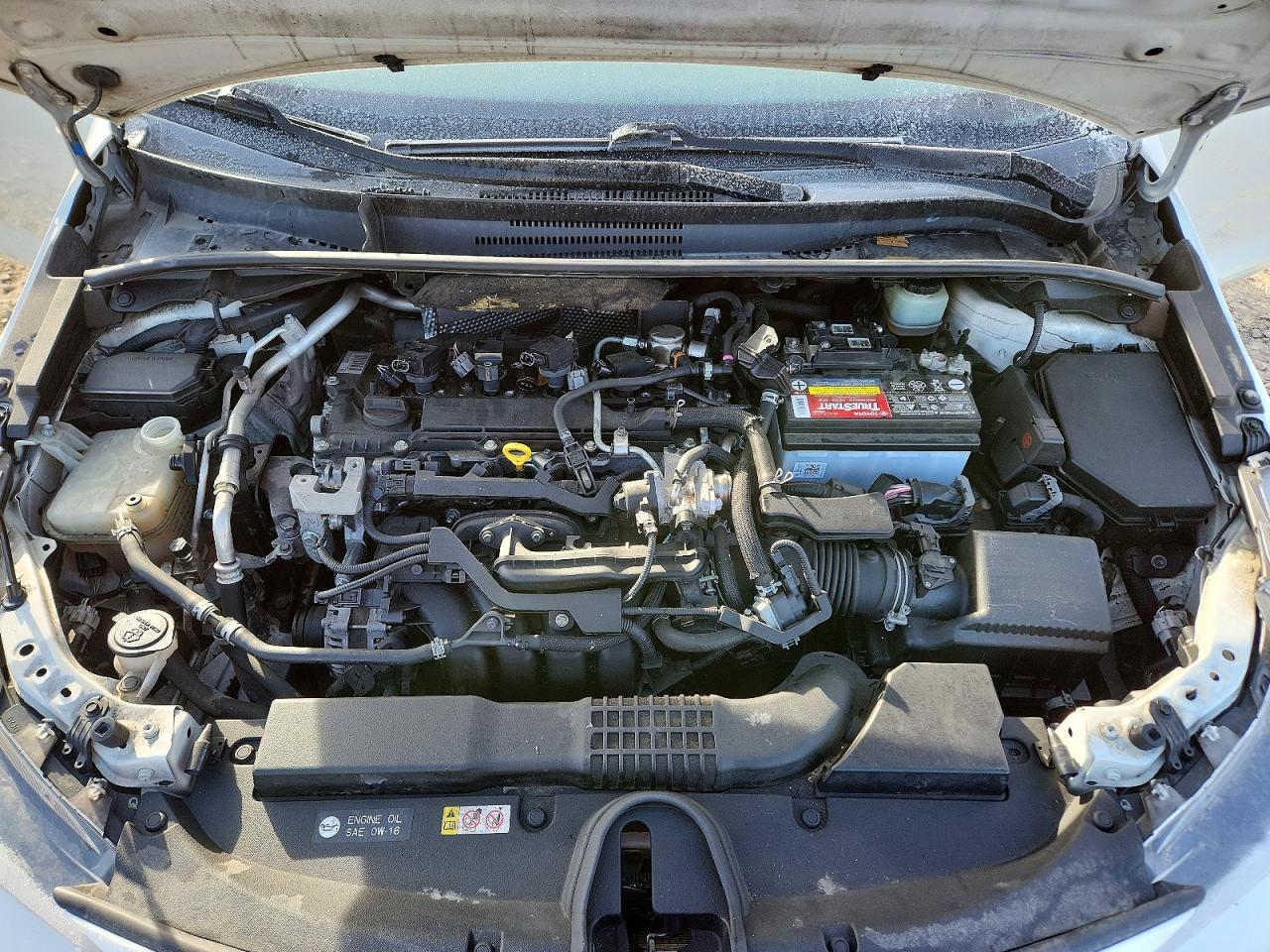 2019 TOYOTA COROLLA