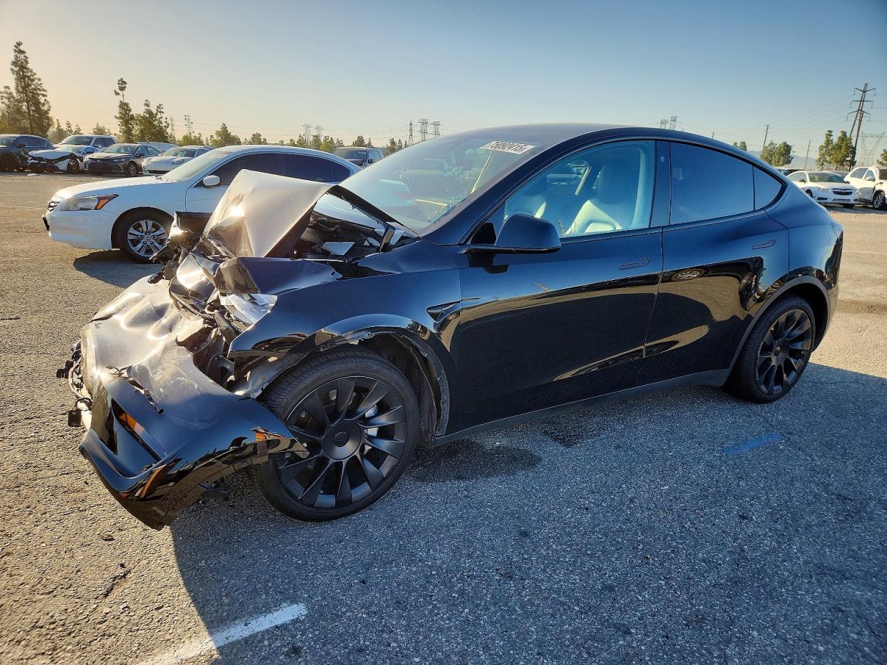 2021 TESLA MODEL Y