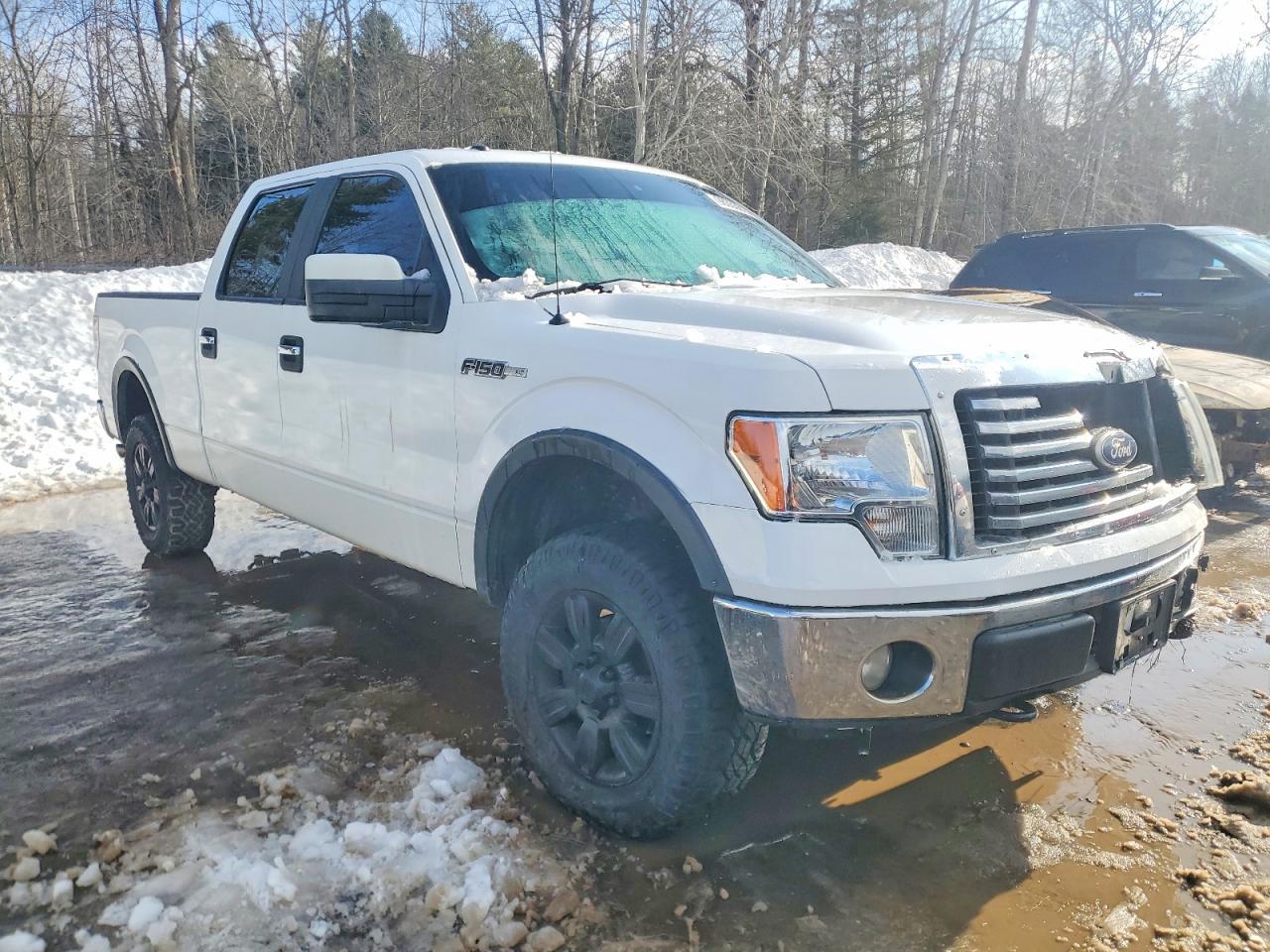 2009 FORD F-150