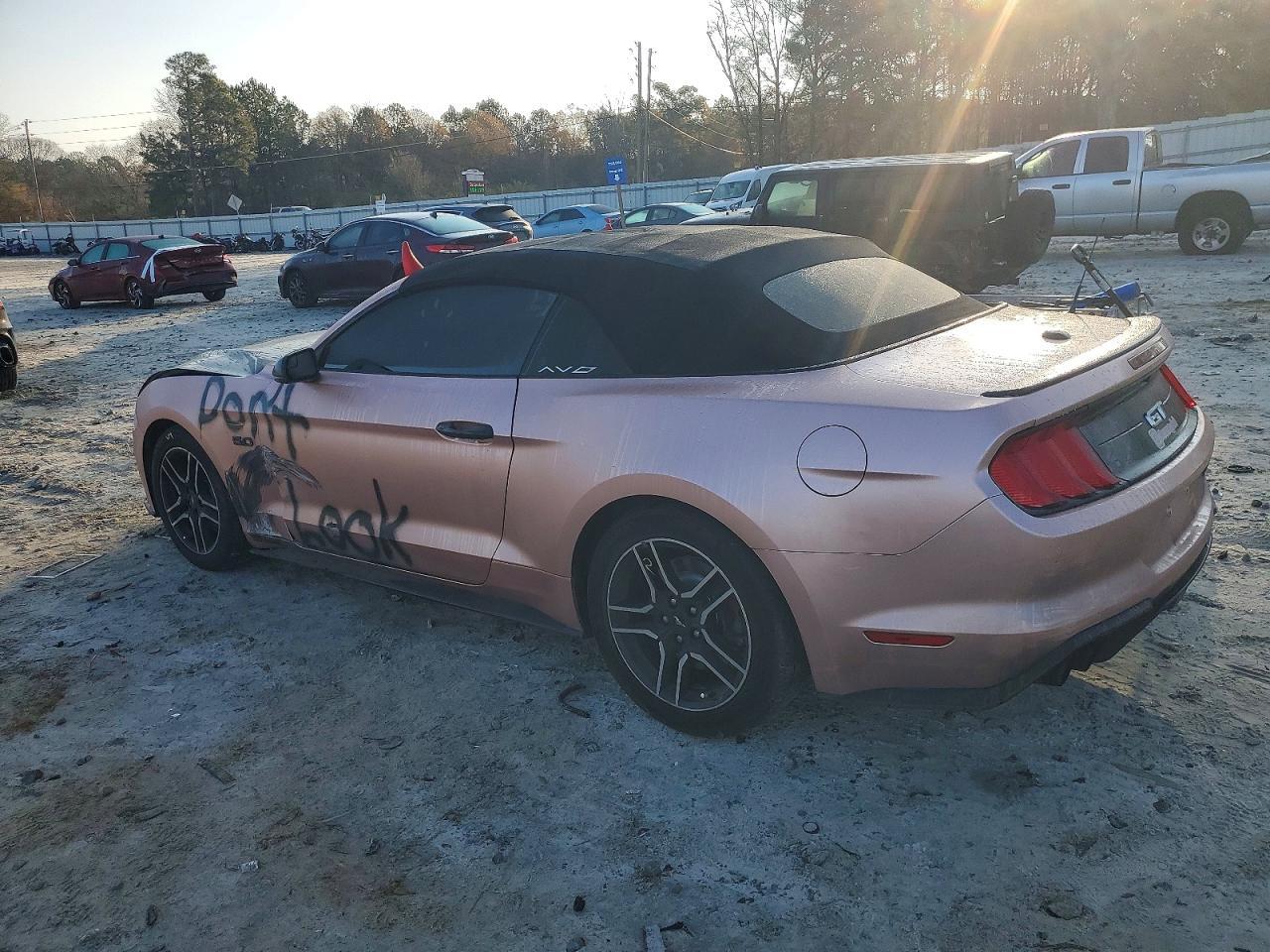 2019 FORD MUSTANG