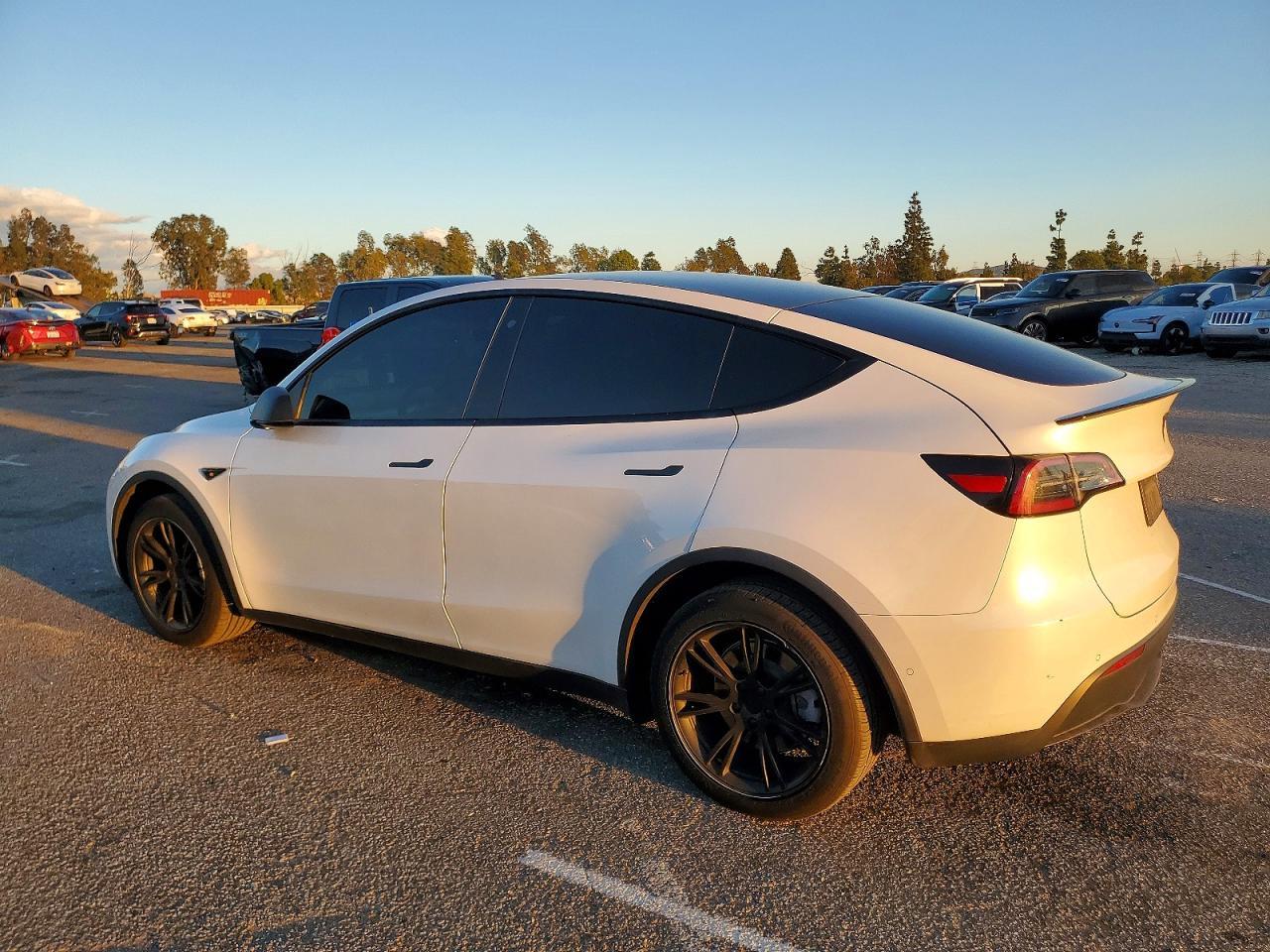 2020 TESLA MODEL Y