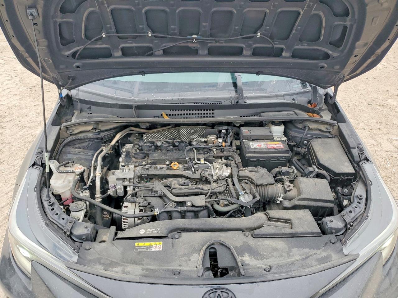2023 TOYOTA COROLLA