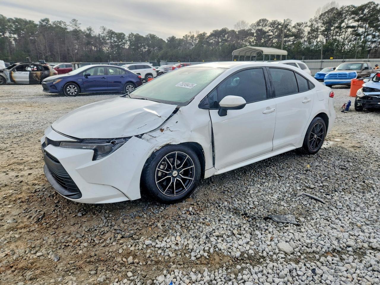 2023 TOYOTA COROLLA