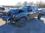 2002 FORD F-150 Lightning