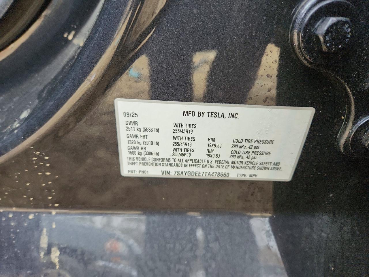 2026 TESLA MODEL Y