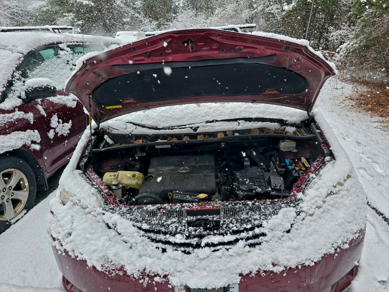 2014 TOYOTA SIENNA