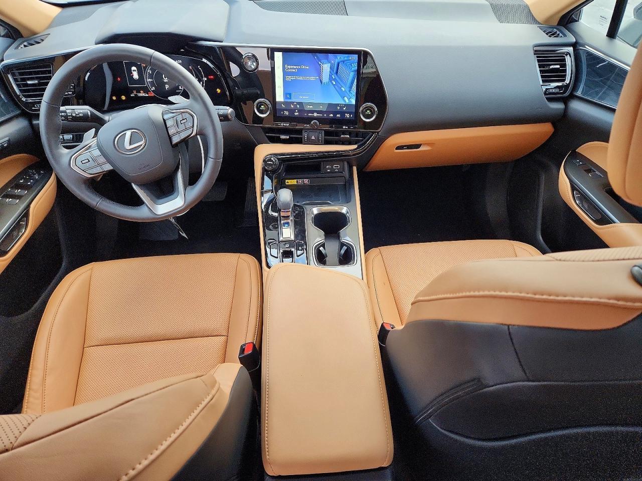2025 LEXUS NX 250