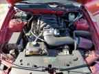 2006 FORD MUSTANG