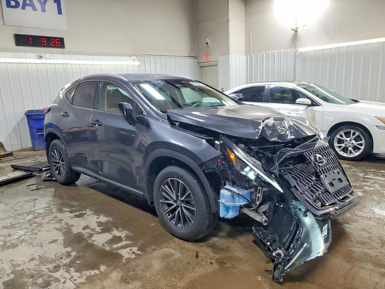 2026 LEXUS NX 350