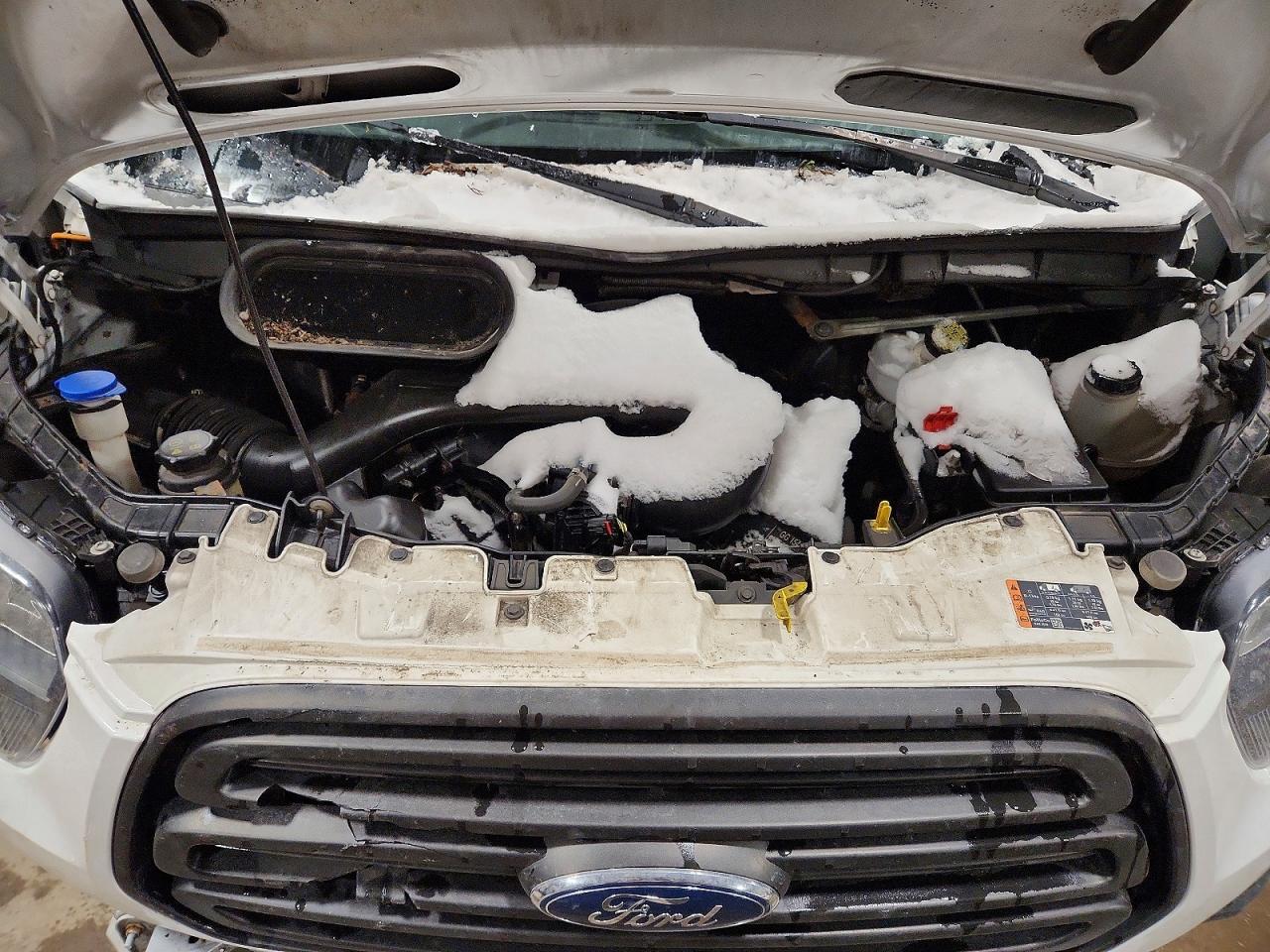 2019 FORD Transit