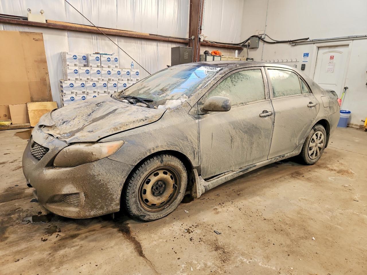 2010 TOYOTA COROLLA