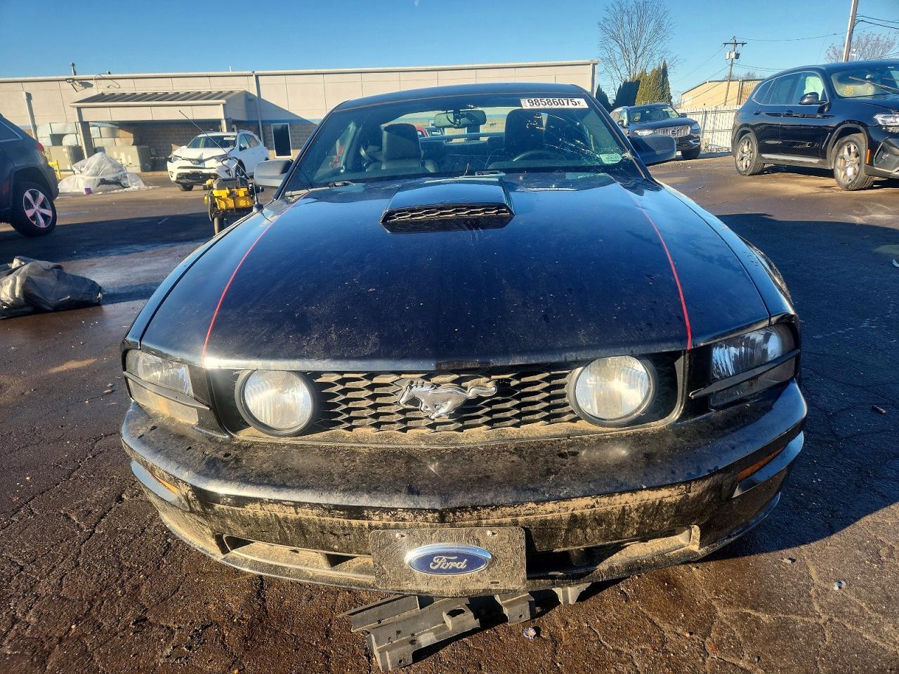 2009 FORD MUSTANG