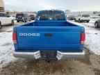 2000 DODGE Dakota